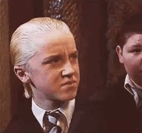 draco malfoy gif|draco malfoy funny pictures.